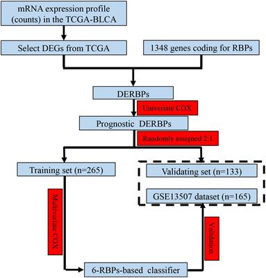 Identification of the Six-RNA-Binding Protein Signature for Prognosis Prediction in Bladder Cancer